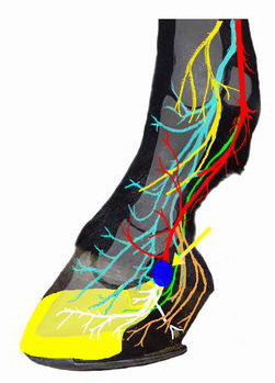 Zehe_TPA1_k02