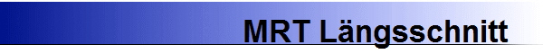 MRT Lngsschnitt