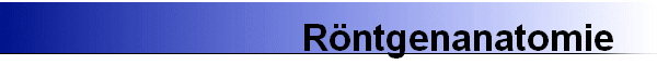 R�ntgenanatomie
