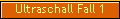 Ultraschall Fall 1