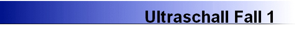 Ultraschall Fall 1