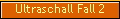 Ultraschall Fall 2