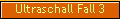 Ultraschall Fall 3