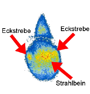 Szinti07_k02